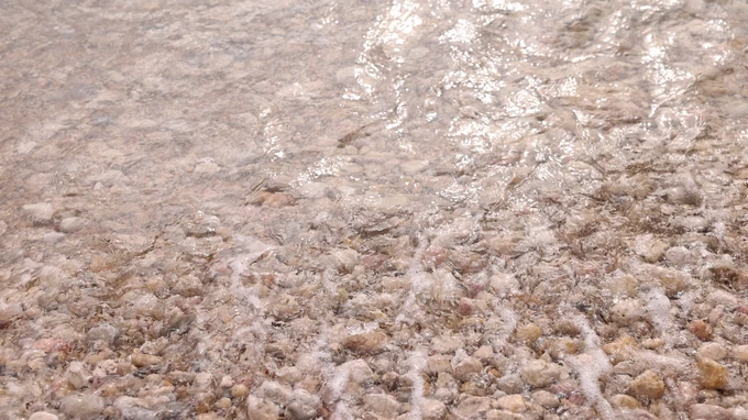 Pebble Beach Shoreline