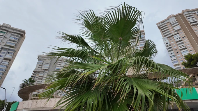 Urban Oasis