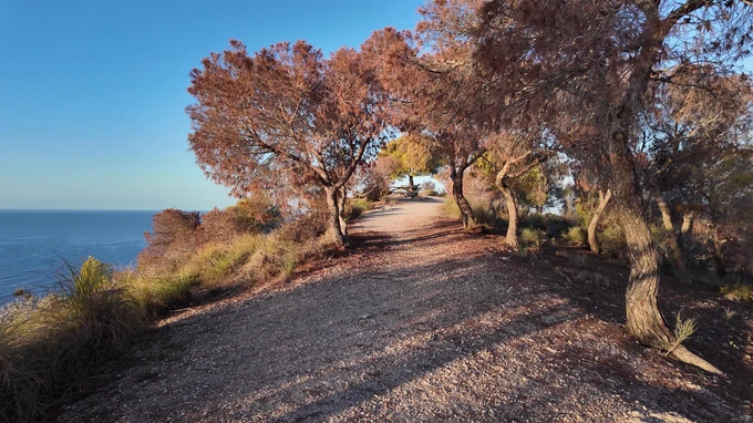 Seaside Pathway at Sunset
