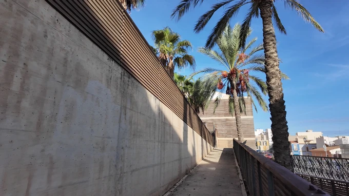 Palm-Lined Urban Walkway