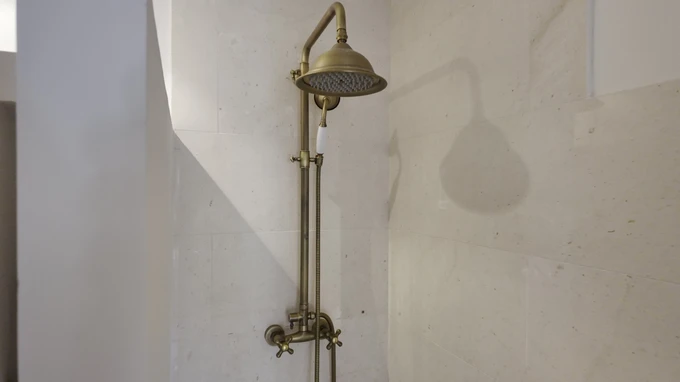 Vintage Shower Fixture