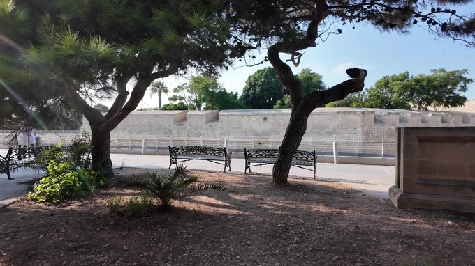 Peaceful Park View