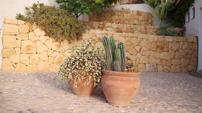 Rustic Patio with Potted Plants