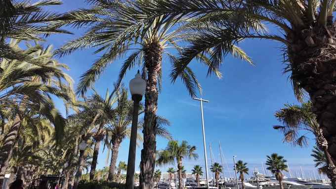Sunny Palm Marina