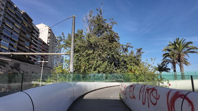 Urban Bridge with Nature