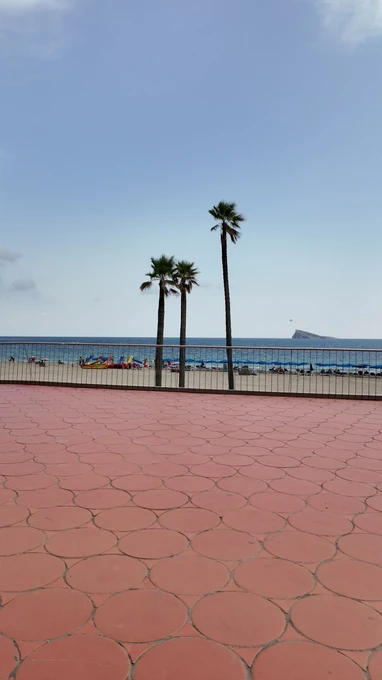 Coastal Promenade with Palm Trees