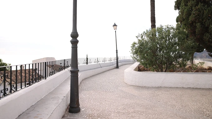 Tranquil Pathway View