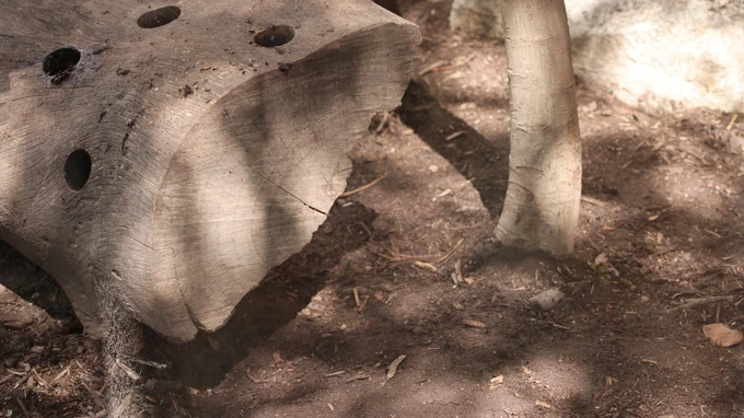 Woodland Bench