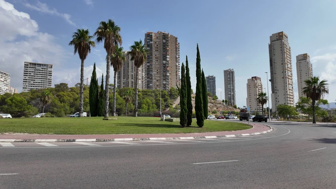 Urban Skyline with Palm Trees