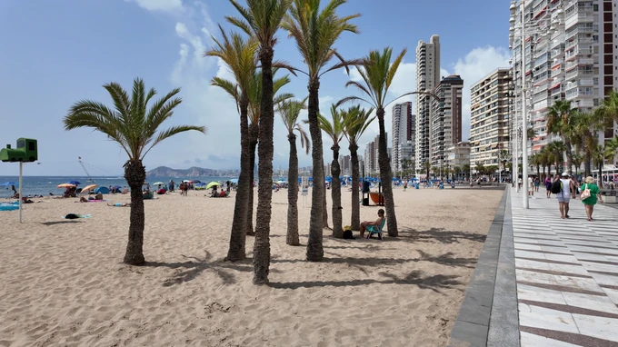 Sunny Beachfront Cityscape
