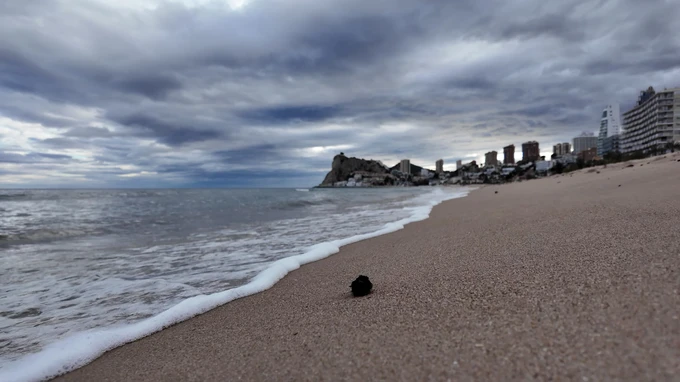 Sandy Shoreline with City Skyline