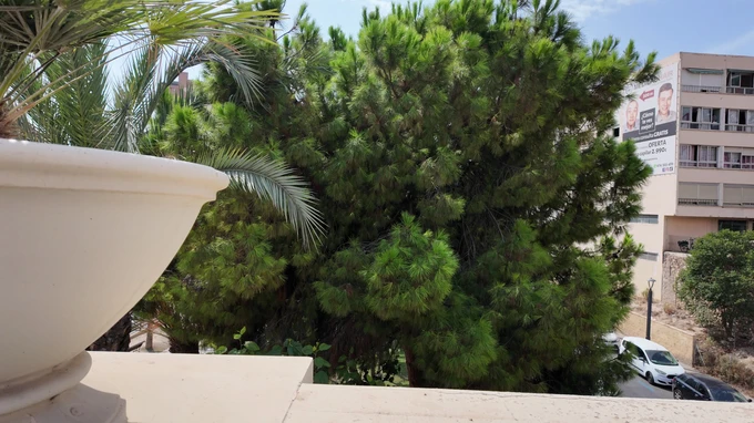 Urban Greenery View