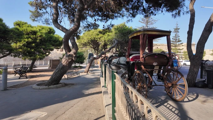 Historic Carriage in Park