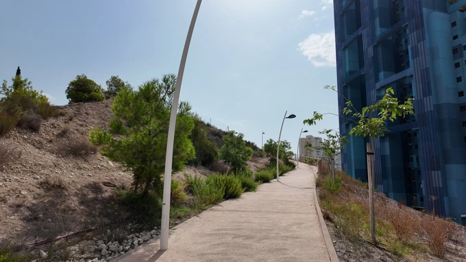 Sunny Urban Pathway