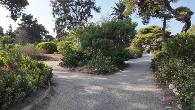 Tranquil Park Path