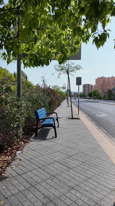 Sunny Urban Street with Bench
