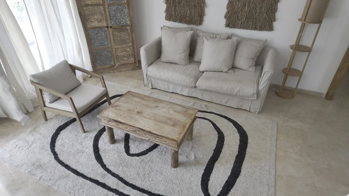 Minimalist Living Room