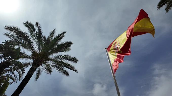 Palm Trees and Flag Under a Blue Sky