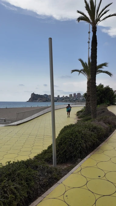 Scenic Beachside Pathway