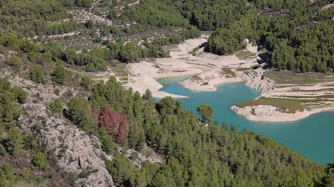 Aerial View of a Forest and Lake