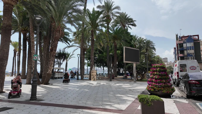 Palm Tree Promenade