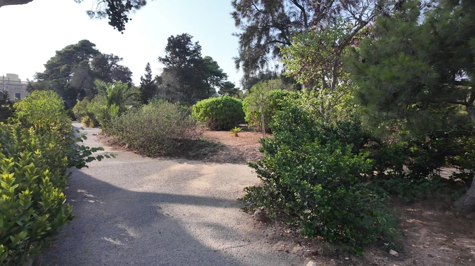 Serene Garden Pathway