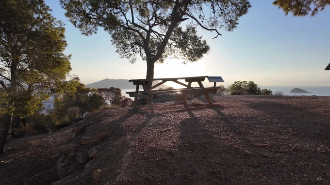 Seaside Picnic Spot