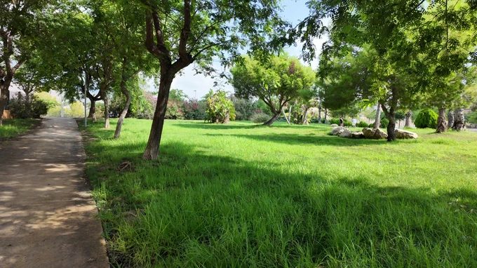 Peaceful Green Park