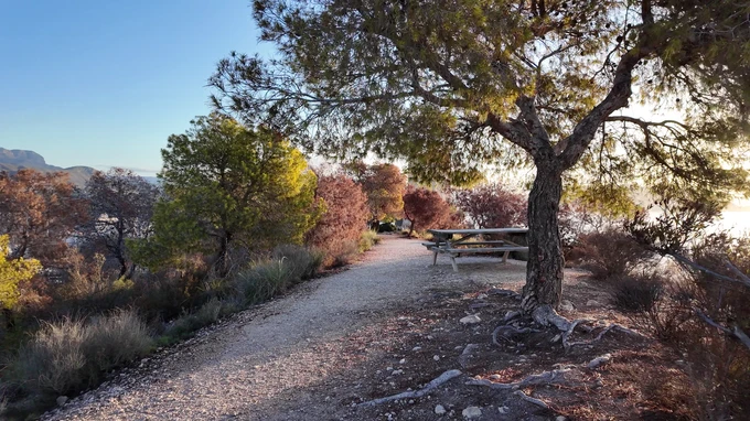 Serene Nature Trail