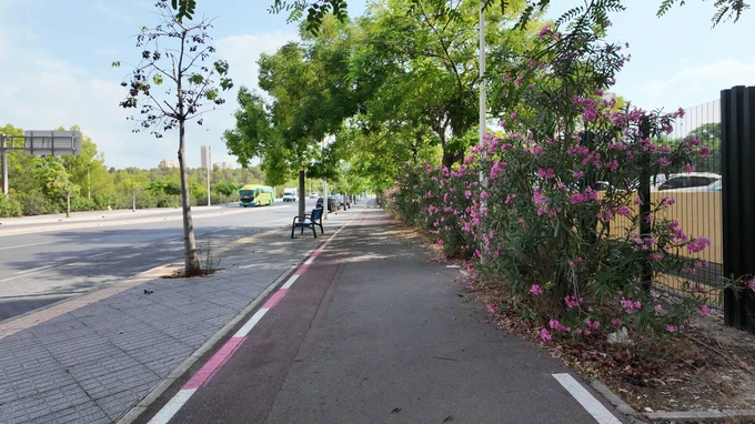 Scenic Urban Pathway