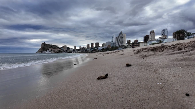 Coastal Cityscape with Overcast Skies