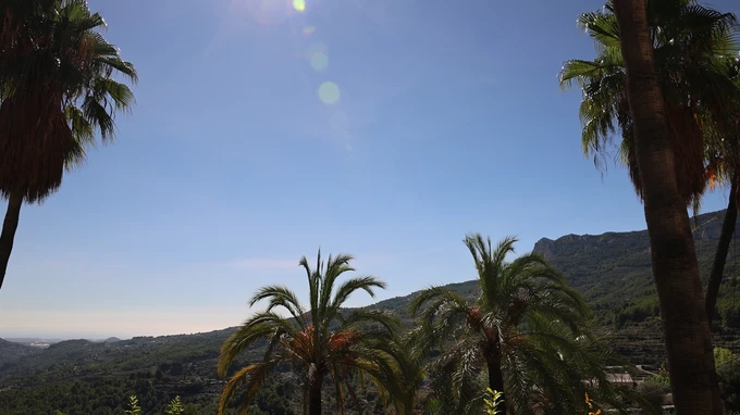 Sunny Mountain View with Palm Trees