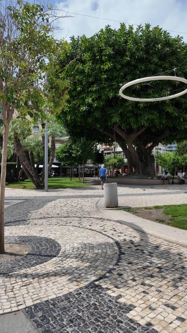 Park with Paved Pathway and Large Tree