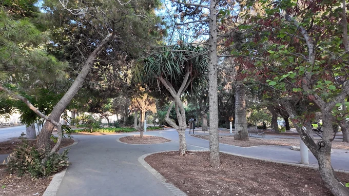 Tranquil Park Pathway