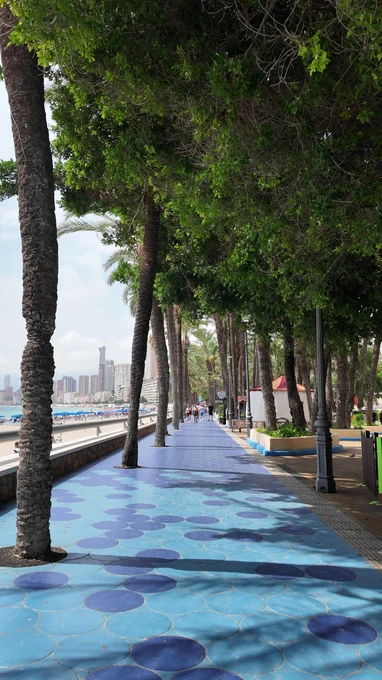 Tree-Lined Promenade by the Sea