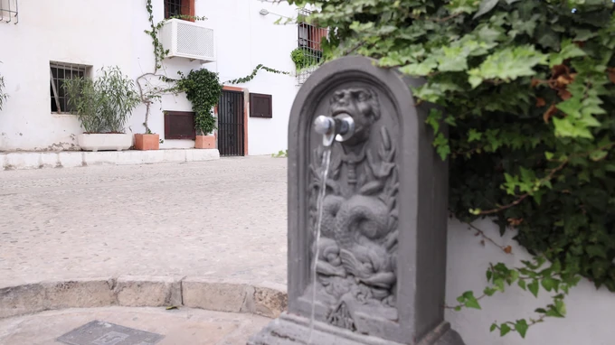 Charming Cobblestone Street Fountain