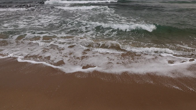 Serene Beach Waves