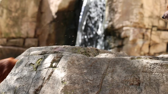 Rocky Waterfall Scene