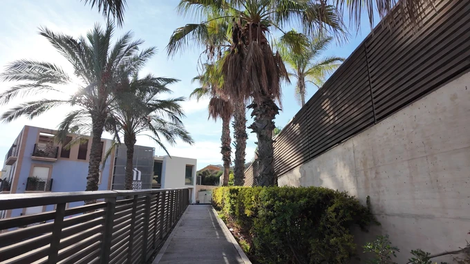Palm Trees and Modern Architecture