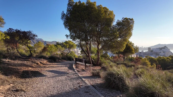 Scenic Nature Pathway