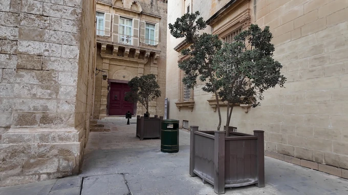 Historic Alley with Potted Trees