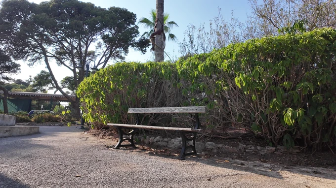 Serene Park Bench