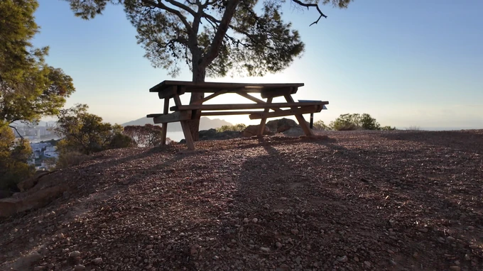 Sunlit Picnic Table