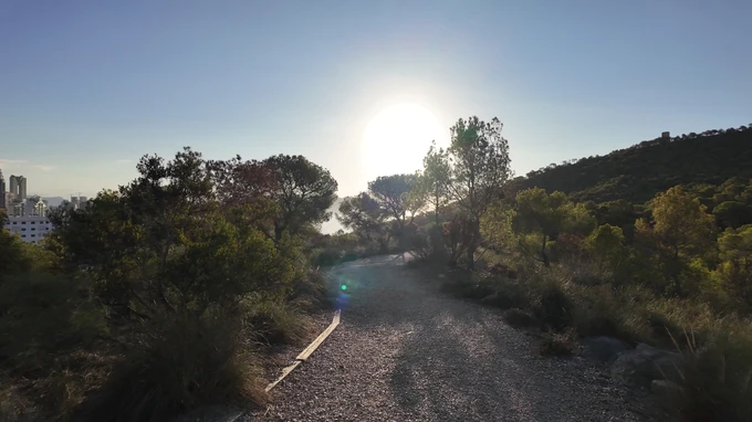 Sunlit Nature Trail