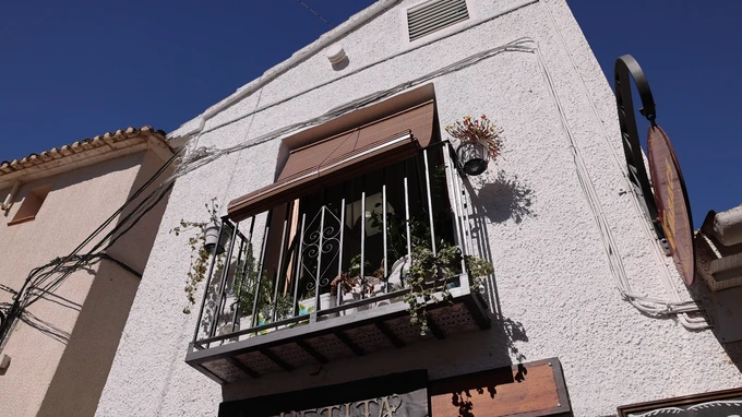 Apartment Balcony with Plants