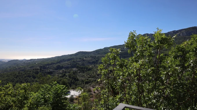 Lush Mountain Landscape