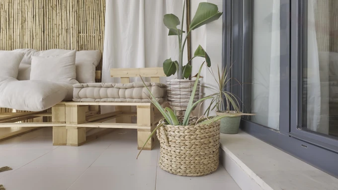 Cozy Patio with Plants