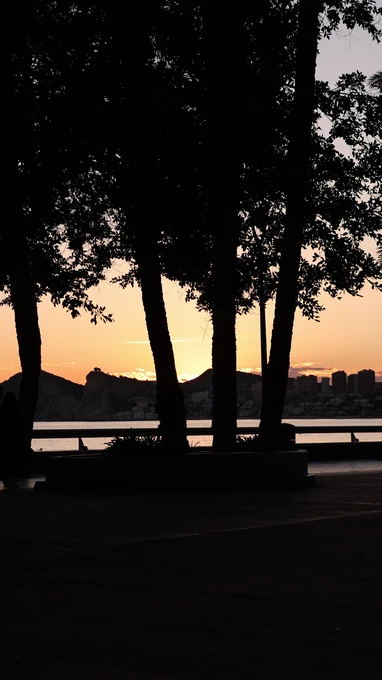 Sunset Silhouette
