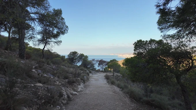 Scenic Coastal Pathway