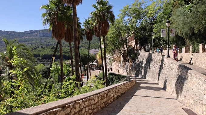 Scenic Pathway in Sunny Landscape